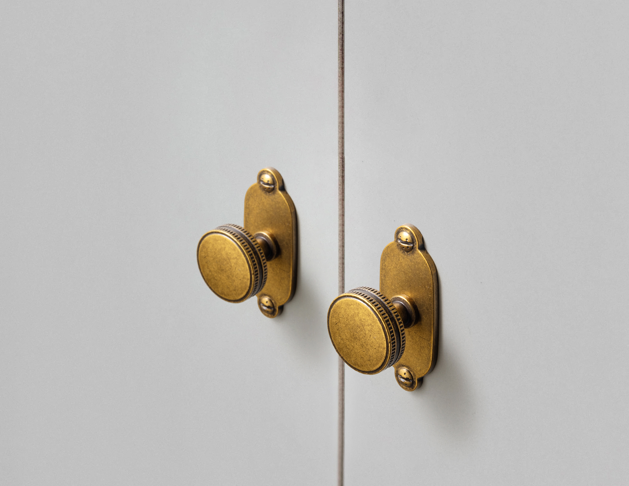 Goo-Ki Champagne Bronze Cabine - مراجعة Furniture Hardware With Backplate وسعره