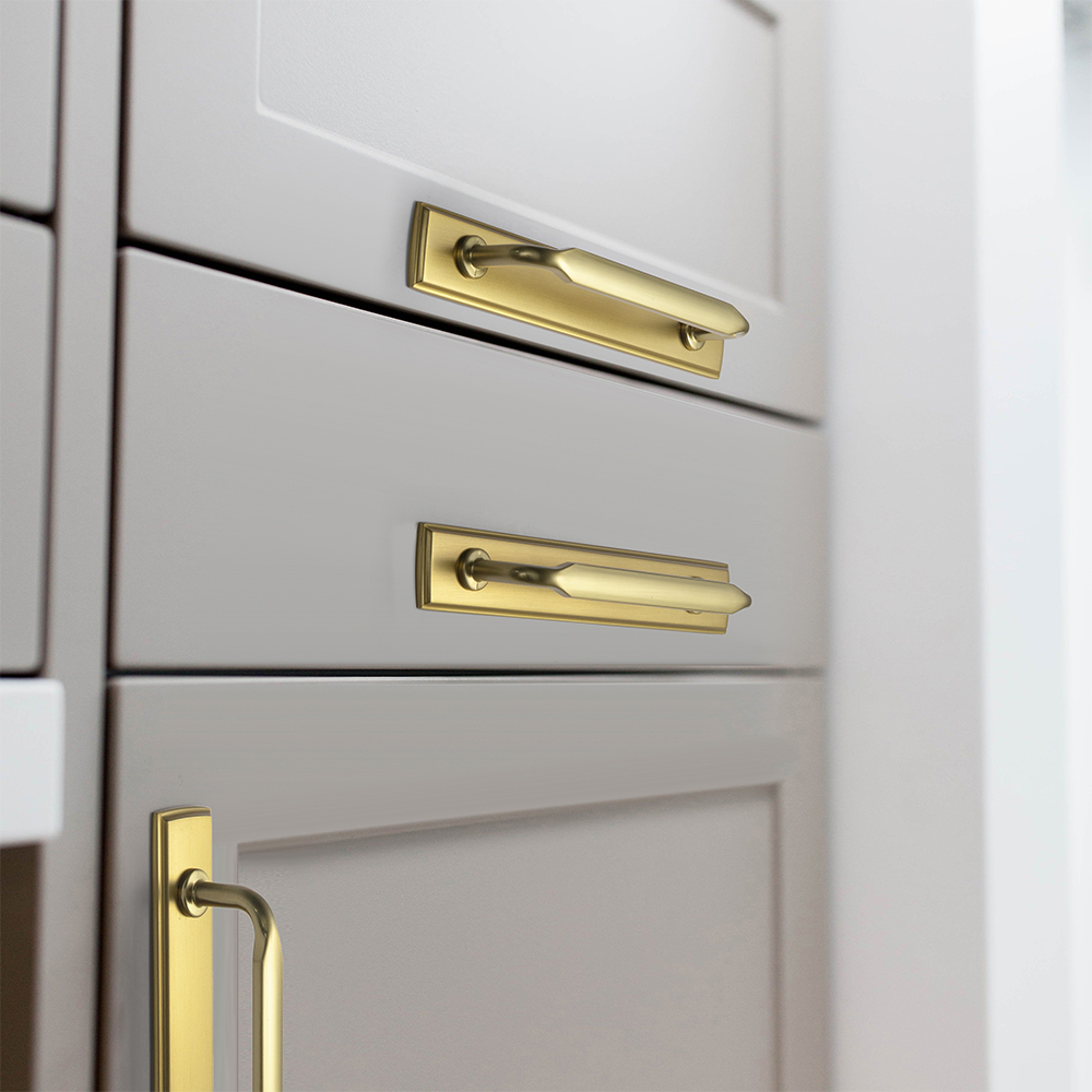 Goo-Ki Brushed Gold Zinc Alloy - مراجعة Furniture Hardware With Backplate وسعره